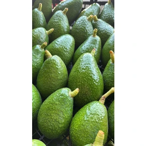 Avokado 1 kg