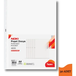 Poşet Dosya Eco A4 100 lü 30 Paket (1 KOLİ) 