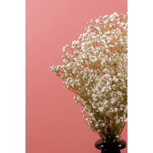 Şoklanmış Cipso Demeti Beyaz