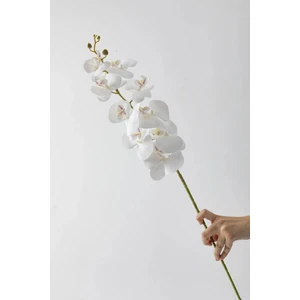 Yapay Islak Orkide Çiçeği Beyaz Tek Dal 100 cm