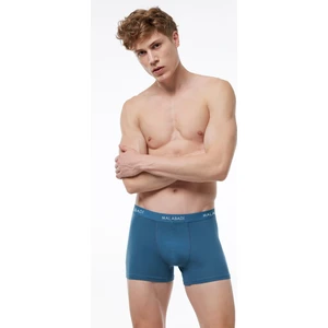 Erkek Mavi Pamuk Elastan Boxer 075