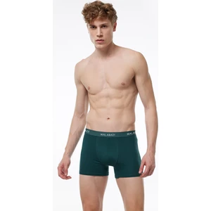 Erkek Yeşil Pamuk Elastan Boxer 075