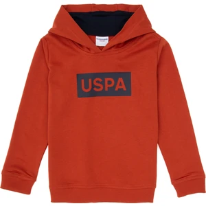 U.S. Polo Assn. Erkek Çocuk Kiremit Basic Kapüşonlu Sweatshirt 50307748-VR031