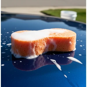 Colorful Dream Store Oto Yıkama Süngeri