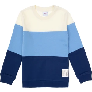 U.S. Polo Assn. Erkek Çocuk İndigo Basic Bisiklet Yaka Sweatshirt 50313977-VR028