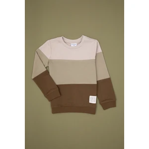 U.s. Polo Assn. Erkek Çocuk Haki Sweatshirt 50313977-VR027