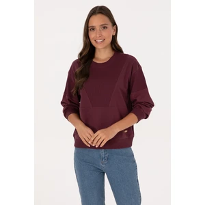 U.s. Polo Assn. Kadın Plum Sweatshirt 50314170-VR177