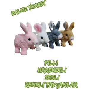 Pilli Zıplayan Oyuncak Tavşan