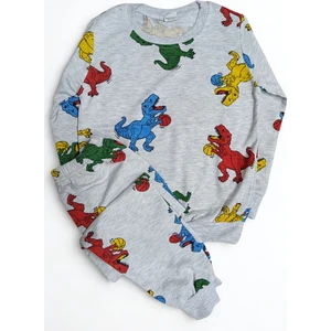 Erkekçocukdinazorve Top Desenli Uzunkollu Gripijama Takımı