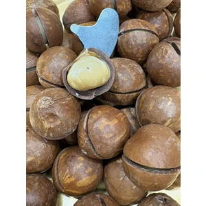 Nakkaşoğlu Kuruyemiş Kabuklu Makademya Fındığı 500gr