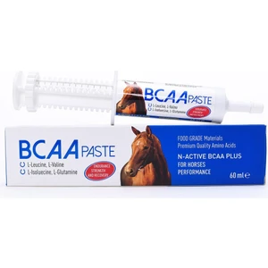 N-Active Bcaa Paste 60 ml