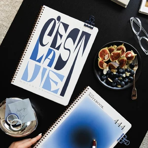 A4 Spiralli Karton Kapak 2’li Set Çizgili Okul Defteri 80 Yaprak, Ders Programlı Aura