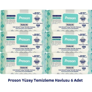 Yüzey Temizlik Havlusu 100 Lü( 6lı)