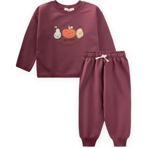 Sweatshırt Takım 1-5 Yaş Mürdüm