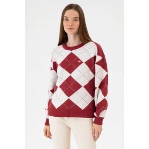 U.S. Polo Assn. Kadın Koyu Frambuaz Bisiklet Yaka Kazak 50314665-VR104