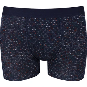 Koza İç Giyim Erkek Tekli Desenli Pamuklu Boxer