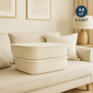 6.8lt Organizer Kutu Set 2'li 242318