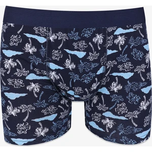 Koza İç Giyim Erkek Tekli Desenli Pamuklu Boxer