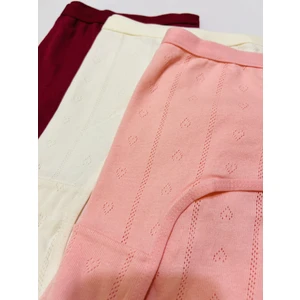 Marka Kadın Jakarlı Bato Külot 3'lü %100 Pamuk Karışık Renkli