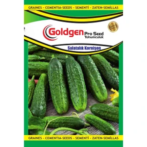Goldgen Kornişon Salatalık Tohumu