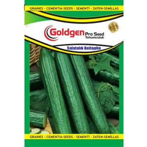 Goldgen Beitepha Salatalık Tohumu