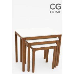 Cg Home Mono Zigon Sehpa Üçlü Lüx %100 Ağaç Lake Boyalı Sehpa