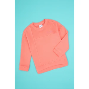 U.S. Polo Assn. Kız Çocuk Neon Pembe Bisiklet Yaka Sweatshirt 50317991-VR105