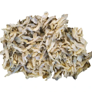 Kaya Av Sülünez  Tüm Balıklar Için