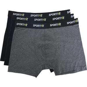 Spt Erkek Gri Günlük Stil 3'lü Boxer 24KBXR01-RNK