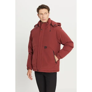 Altınyıldız Classics Standart Fit Normal Kesim Kapüşonlu Dik Yaka Yan Cepli Casual Mont