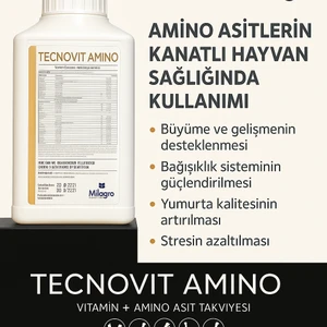 Tecnovit Amino