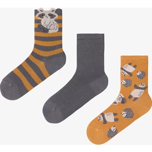 Çok Renkli Erkek Çocuk Animals 3lü Soket Çorap