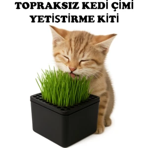 Ural 3D Kedi Çimi Otu Tekrar Kullanılabilir Topraksız Yetiştirme Kutusu