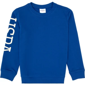 U.s. Polo Assn. Erkek Çocuk Mavi Sweatshirt 50313831-VR212
