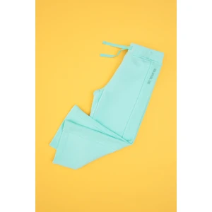 U.S. Polo Assn. Kız Çocuk Mint Şeritli Eşofman Altı 50317901-VR250