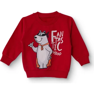 Hellobaby Erkek Bebek Sweatshirt Şardonlu Iki Iplik Bisiklet Yaka Uzun Kol