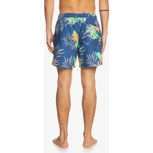 PARADISE EXPRESS VOLLEY 15