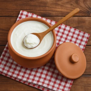 Çömlek Diyarı toprak sırlı Yoğurtluk 3kg