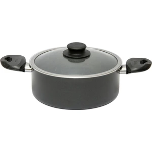 Dynamıc Stone Tencere 22 cm