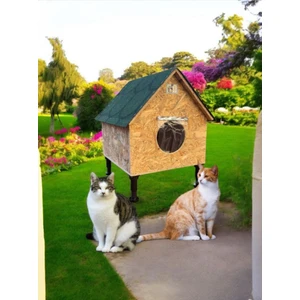 Kedi Evi Kedi Yuvası Kedi Barınağı 2 Kedilik Su ve Isı Yalıtımlı Yerden Yüksek Ayaklı