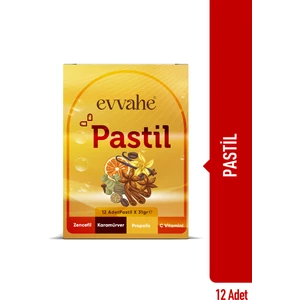 Pastil 12 adet(Zencefil, Karamürver, Propolis, C vitamini İçeren Pastil Takviye Edici Gıda)