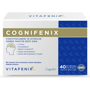 Cognifenix Fosfotidilserin ve Sitikolin Içeren Takviye Edici Gıda 40 Kapsül
