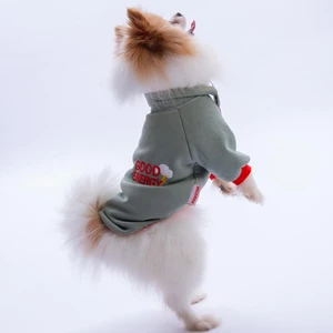 Yeşil Seattle Storm Good Energy Nakışlı Köpek Sweati Köpek Kıyafeti Kedi Kıyafeti