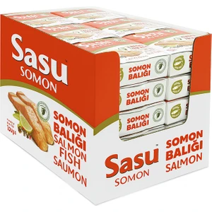 Somon Balığı 1 Koli 24x160 gr Bütün Dilim