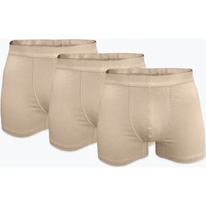 Erkek Ten Rengi 3 Lü Paket Pamuk Elastan Boxer 3M075