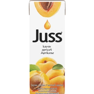 Nektar Kayısı 200 ml x 27 Slim