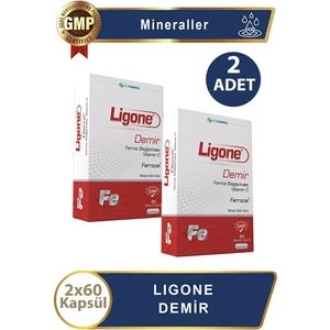 Demir 60 Kapsül 2 Adet
