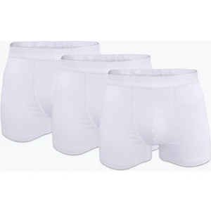 Erkek Beyaz 3 Lü Paket Pamuk Elastan Boxer 3M075