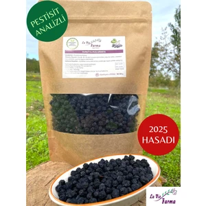 La Vie Farma Kurutulmuş Aronya (500 G) Pestisit Analizli, Yeni Hasat