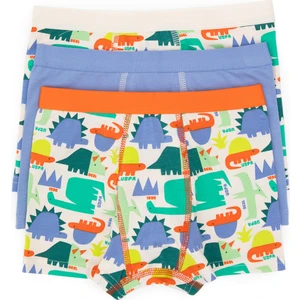 U.S. Polo Assn. Erkek Çocuk 3'lü Boxer Takım 50319387-VR036